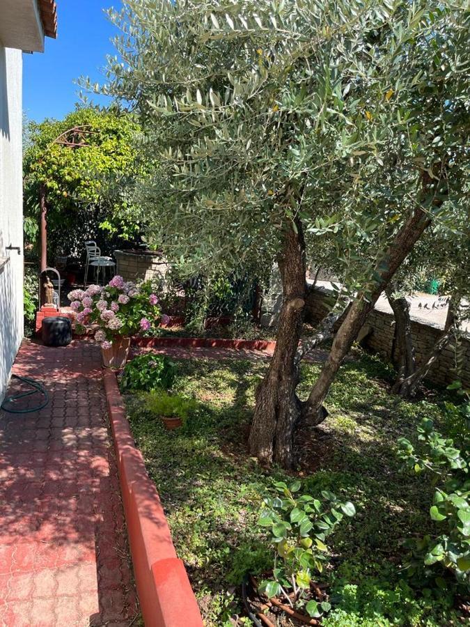 Casa vacanze Nonna Alida Pola
