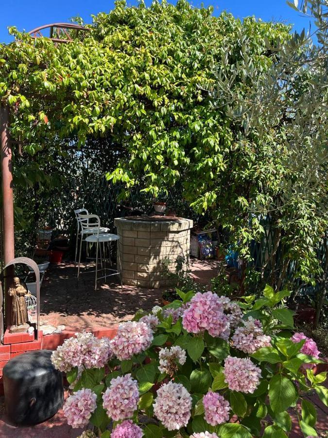 Casa vacanze Nonna Alida *