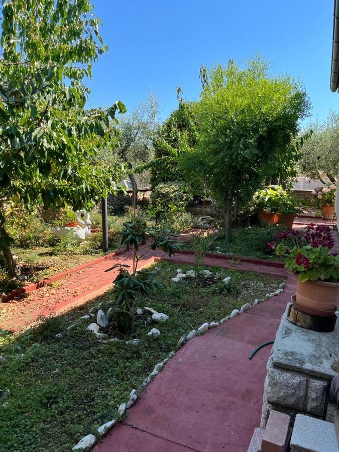 Casa vacanze Nonna Alida